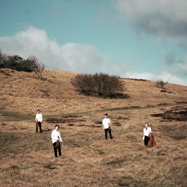 NOVO Quartet by Martin Poulsen